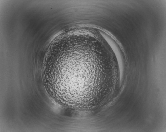 X0000080781289200612151419