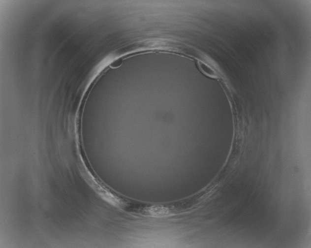 X0000080781291200612151419
