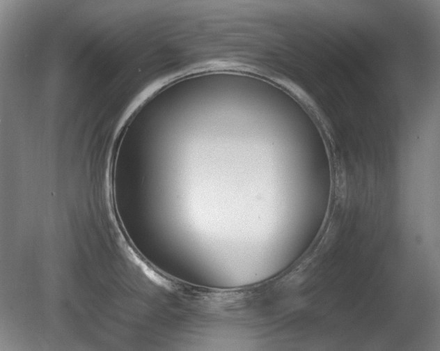 X0000080781294200612151419