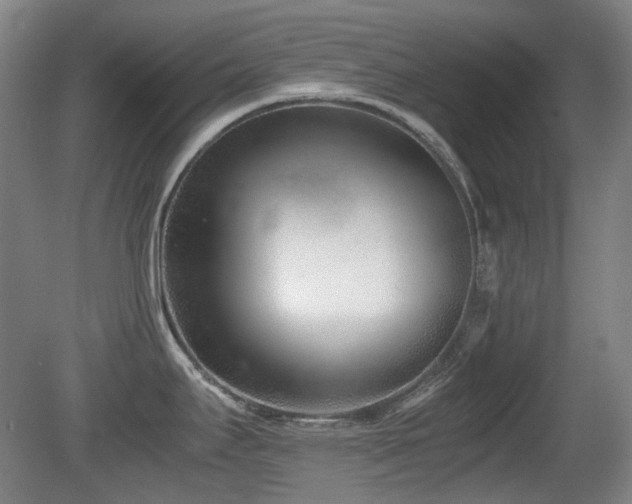 X0000080781295200612151419
