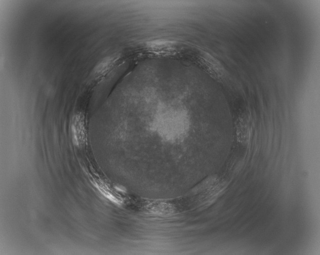 X0000080781298200612151418