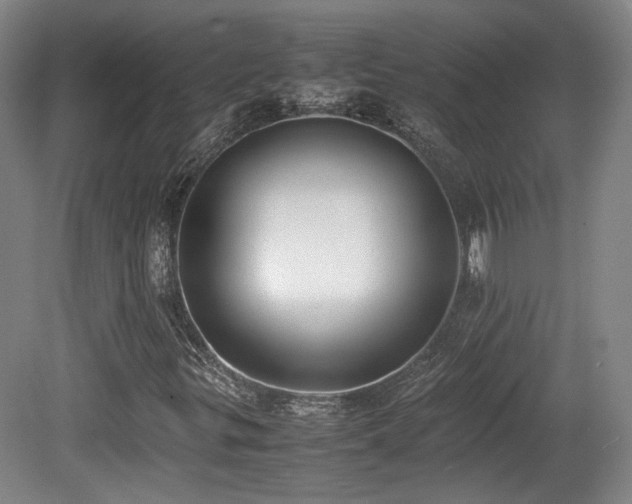 X0000080781299200612151418