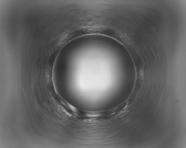 X0000080781300200612151418