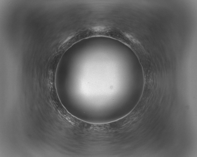 X0000080781301200612151418