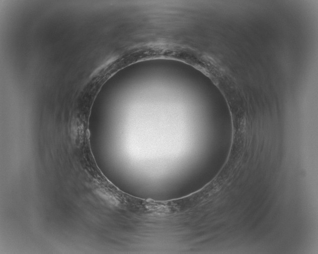 X0000080781302200612151418