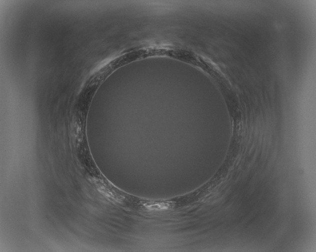 X0000080781303200612151418
