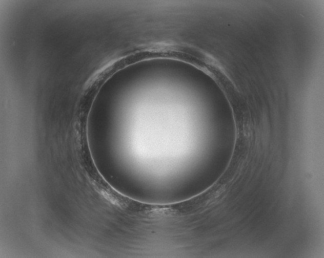 X0000080781304200612151418