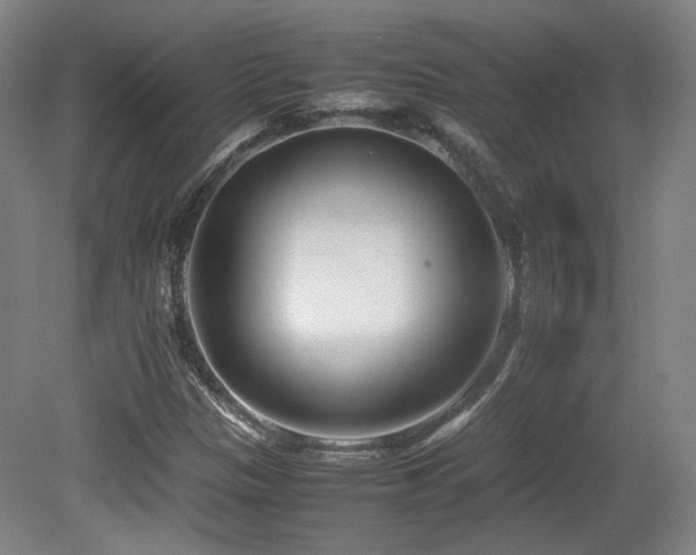 X0000080781305200612151418