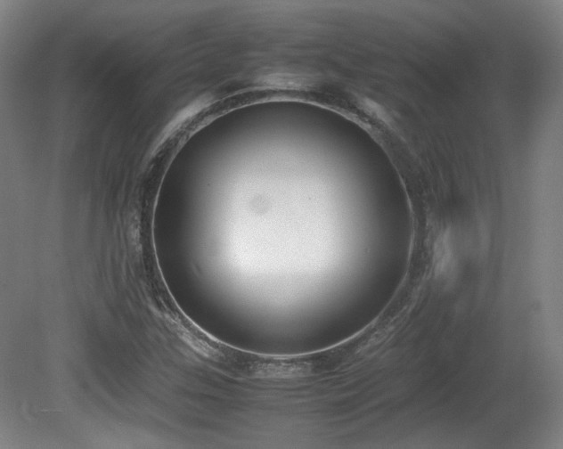 X0000080781307200612151418