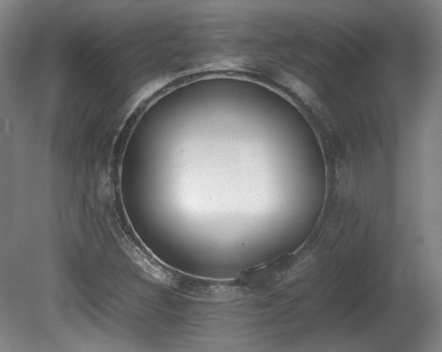 X0000080781308200612151418