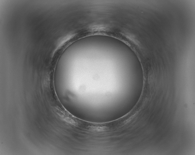 X0000080781309200612151418
