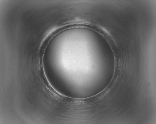 X0000080781310200612151418