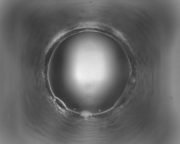 X0000080781312200612151418