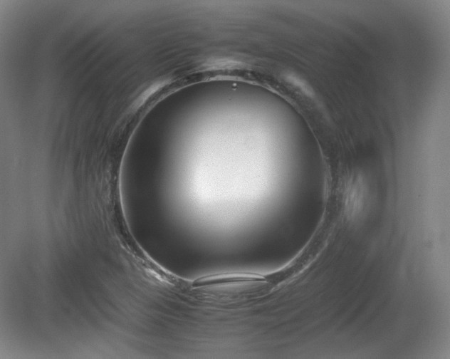 X0000080781313200612151418