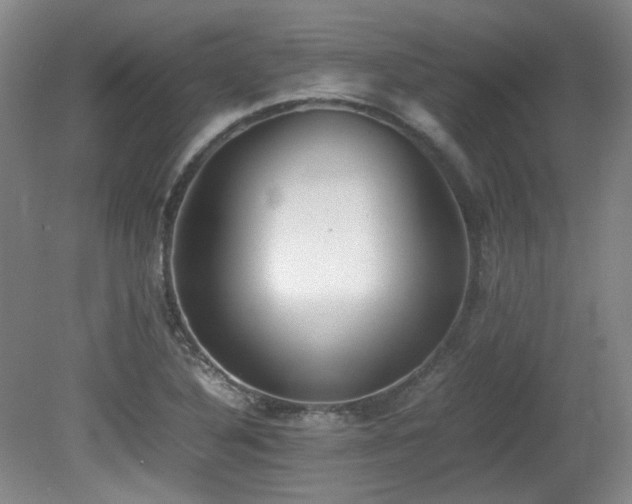 X0000080781316200612151419