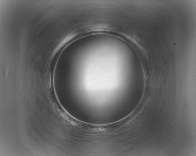 X0000080781317200612151419