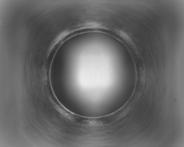 X0000080781318200612151419