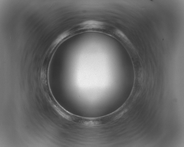 X0000080781321200612151419