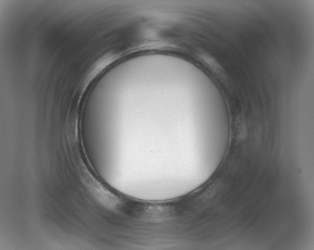 X0000080781322200612151419