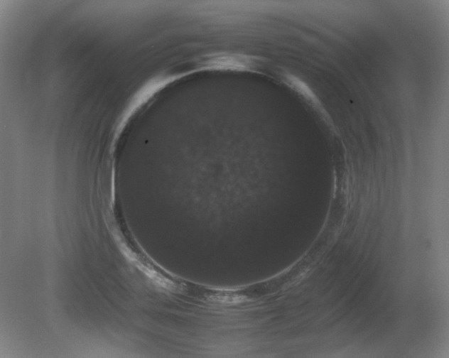 X0000080781323200612151419