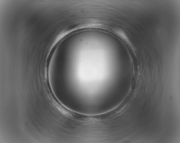 X0000080781324200612151419