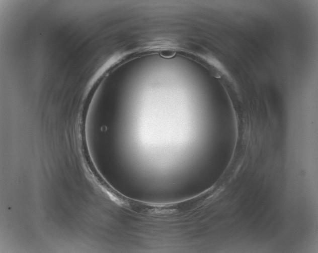 X0000080781325200612151419