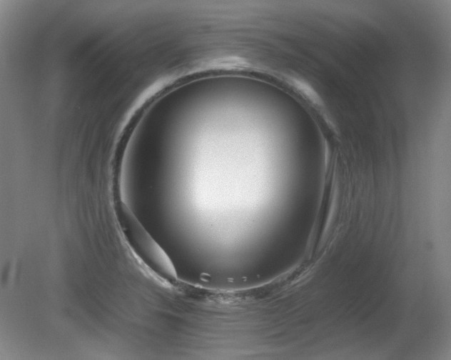 X0000080781326200612151419
