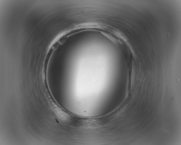 X0000080781328200612151419