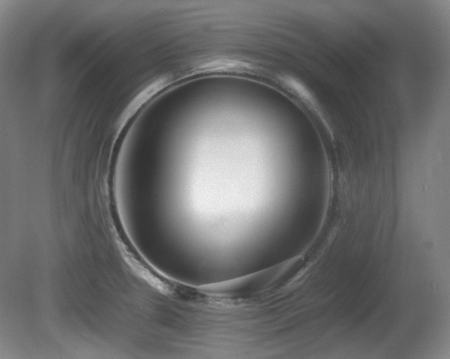 X0000080781330200612151419