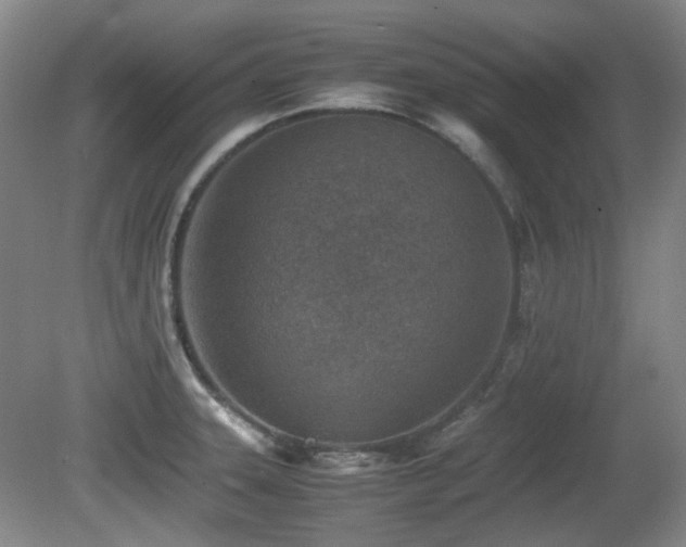 X0000080781331200612151419