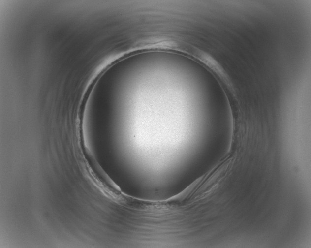 X0000080781332200612151419