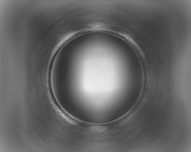X0000080781333200612151419