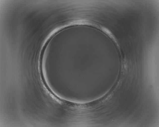 X0000080781334200612151419