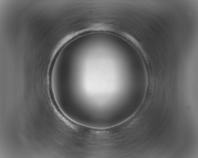 X0000080781335200612151419
