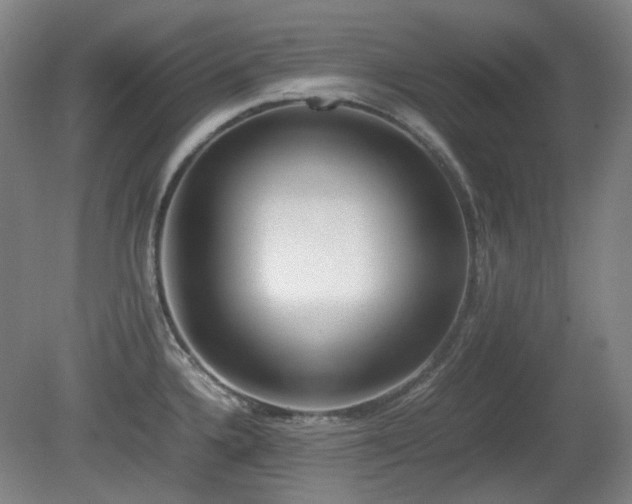 X0000080781336200612151419