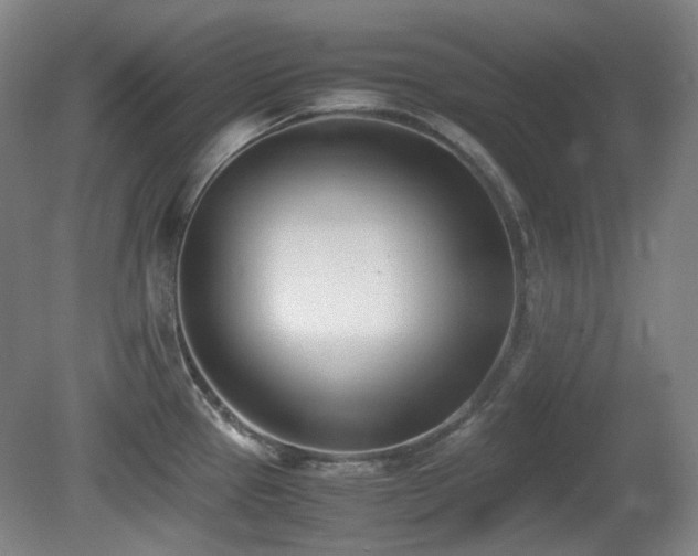X0000080781337200612151419