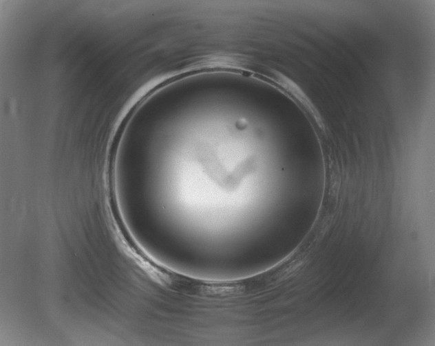 X0000080781339200612151419