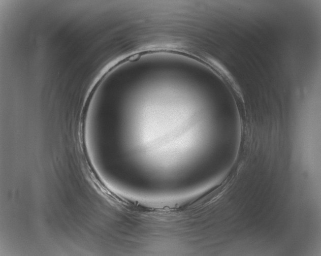 X0000080781340200612151419