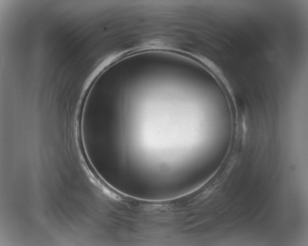 X0000080781341200612151419