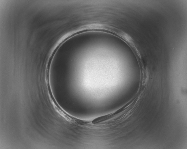 X0000080781342200612151419