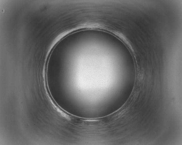 X0000080781343200612151419