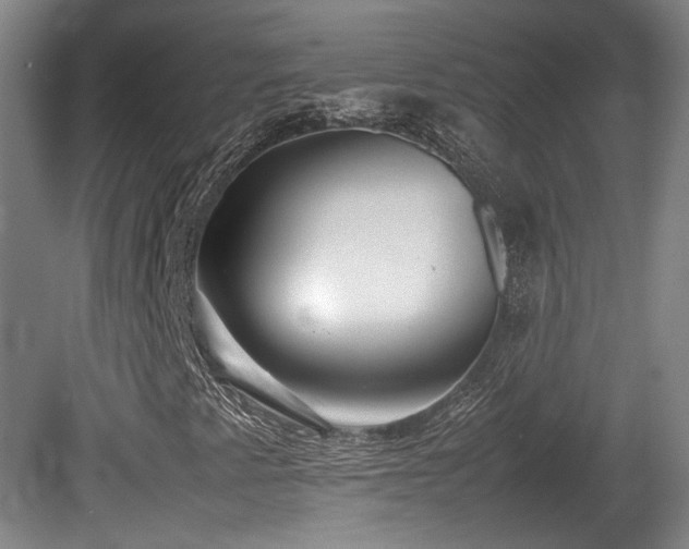 X0000080781345200612151418