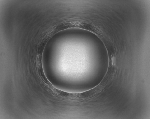 X0000080781347200612151418