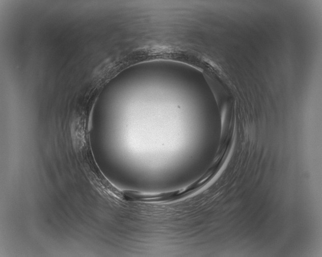 X0000080781348200612151418