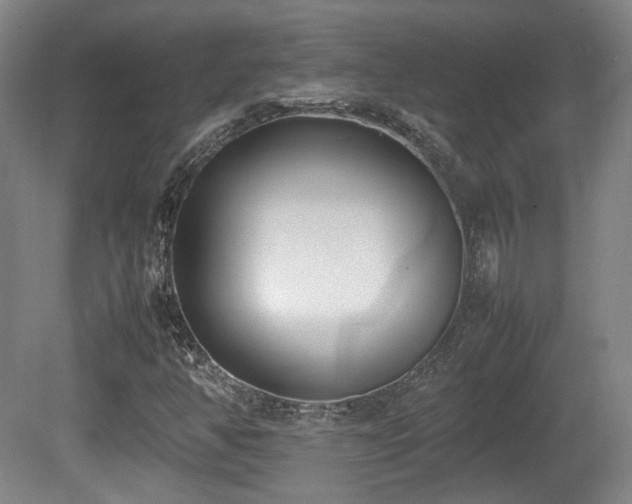X0000080781350200612151418