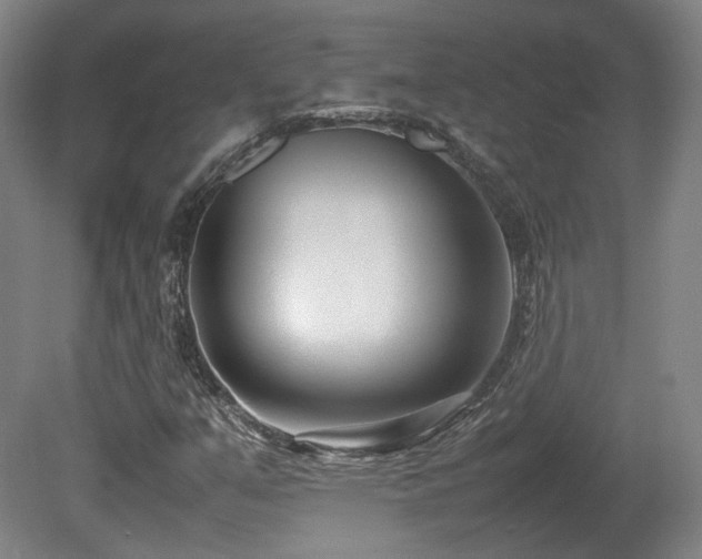 X0000080781351200612151418