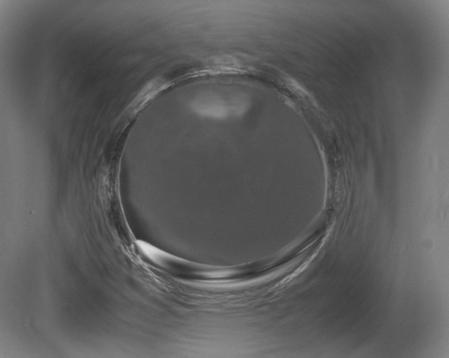 X0000080781353200612151418