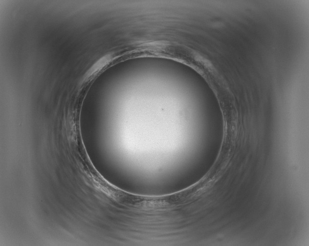 X0000080781354200612151418