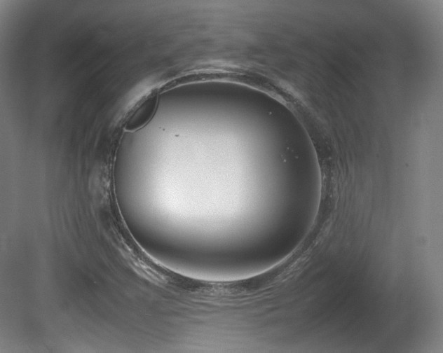 X0000080781355200612151418