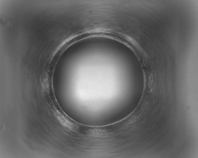 X0000080781356200612151418